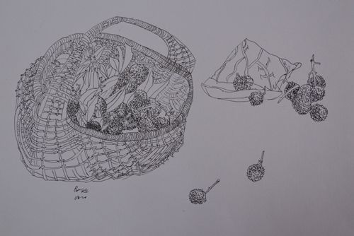 DSC_0097 ����.jpg