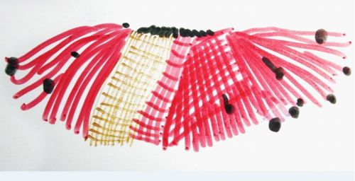 �Ĵ������ʦ��ˮ�ʱ������衷 2-2194.JPG