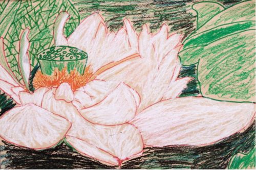 �Ĵ������ʦ��ˮ�ʱ������衷 2-8851.JPG