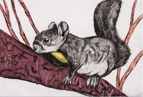 �Ĵ������ʦ��ˮ�ʱ������衷 2-16124.JPG