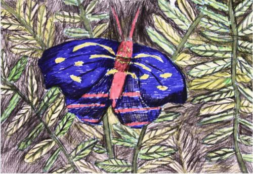 �Ĵ������ʦ��ˮ�ʱ������衷 2-16242.JPG