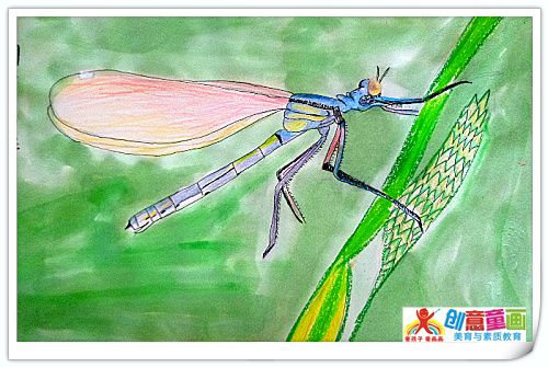 ����ʡ�人�д���ͯ���ٶ���������  ���Ϻ� ָ����ʦ ���.jpg